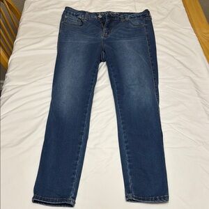 Torrid Trio Skinny Jeans 10-14